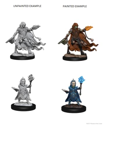 Pathfinder Battles Deep Cuts Unpainted Miniatures: Evil Wizards