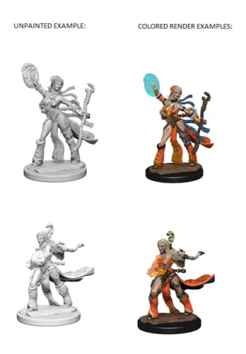 Pathfinder Battles Deep Cuts Unpainted Miniatures: Human Female Sorcererer