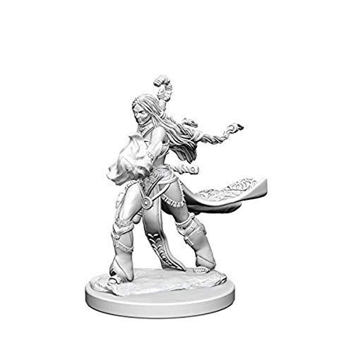 Pathfinder Battles Deep Cuts Unpainted Miniatures: Human Female Sorcererer
