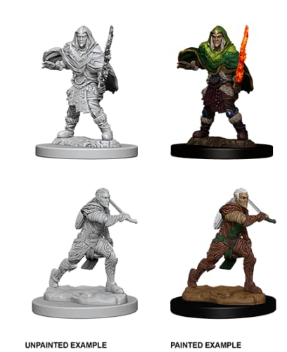Pathfinder Battles Deep Cuts Unpainted Miniatures: Male Elf Fighter
