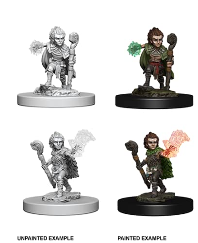 Pathfinder Battles Deep Cuts Unpainted Miniatures: Gnome Male Druid
