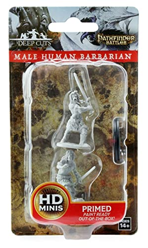 Pathfinder Battles Deep Cuts Unpainted Miniatures: Male Human Barbarian