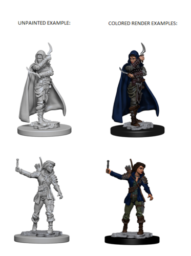 Pathfinder Battles Deep Cuts Unpainted Miniatures: Human Female Rogue