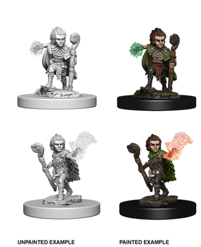 Pathfinder Battles Deep Cuts Unpainted Miniatures: Gnome Male Druid
